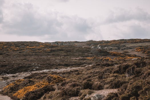 Ireland Leads EU Space Race: Satellite Broadband Summit Focuses on Rural Connectivity