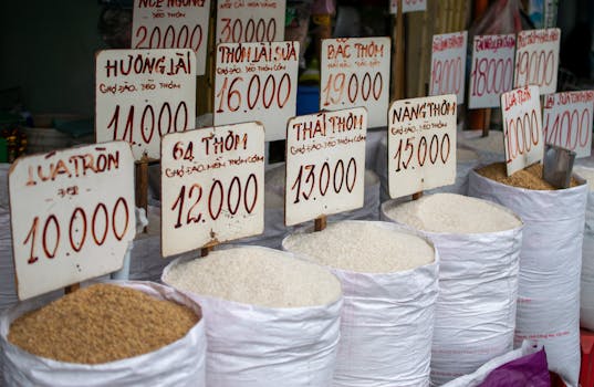 Record India Rice Stockpiles: Impact on Prices & Farmers