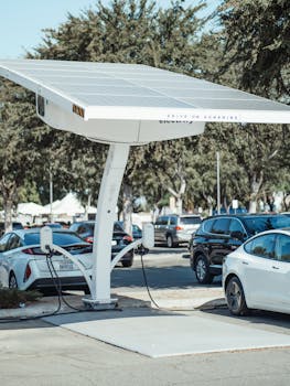 Tesla Robotaxi's Emergency Brake: AI Fail or Bird's Flight?