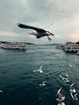 4th of July Travel: Best & Worst Days to Fly & Drive in 2024