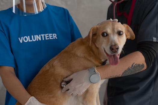 Buitelaar Appoints New Director to Strengthen Animal Welfare Commitment