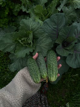 Crizac IPO Allotment LIVE: Check Status, GMP, Listing Date