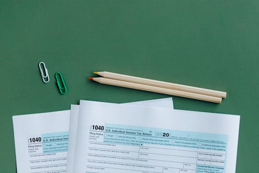 ITR-2 & ITR-3 Excel Utilities Released! AY 2025 Filing Guide