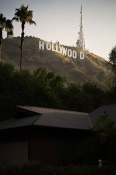 LA Stan Culture: Fandom, Influence & the City of Angels