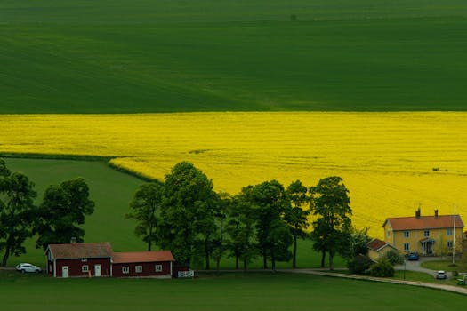 May 2025 Housing Market Report: Cooling Trends & Investment Opportunities