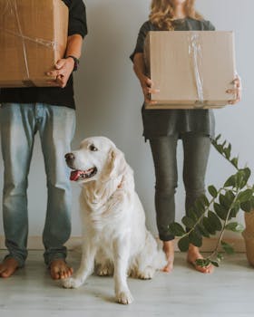 Pets at Home Launches Pet Insurance: Disrupting the UK Market