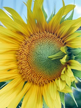 Redefining CX: How Morrisons, Holland & Barrett, & Liberty Excel