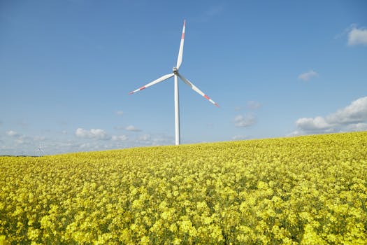 UK's Giant Leap: 435MW Wind Turbine Order Boosts Net-Zero Goals