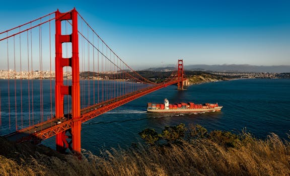 4 red lines in India-US trade talks: Corn, ethanol, soyabean & dairy
