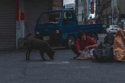 Abandoned Dog