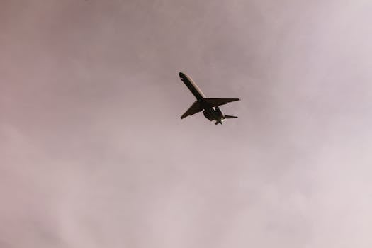 Apollo Effect: Record US Air Travel Defies Economy