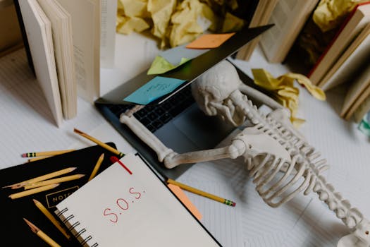 Conquer Stress & Burnout: 5 Books for a Healthier You