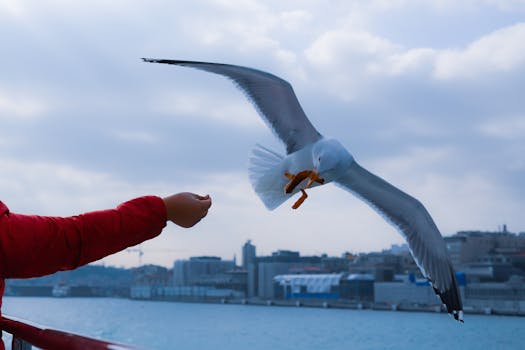 Fed's Next Move: Tariffs, Inflation, & Market Uncertainty