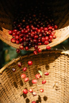 Harvest: Athina Rachel Tsangari's Sensory Rural Drama