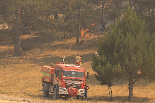 ImageCat & Green Shield Partner to Fight Wildfires with AI