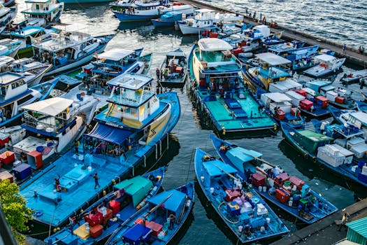 India's Maritime Strategy: Boosting Domestic Shipping & Cargo Share
