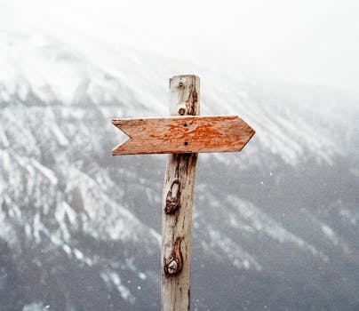 MS Amlin Strengthens Natural Resources Insurance with Key Appointment