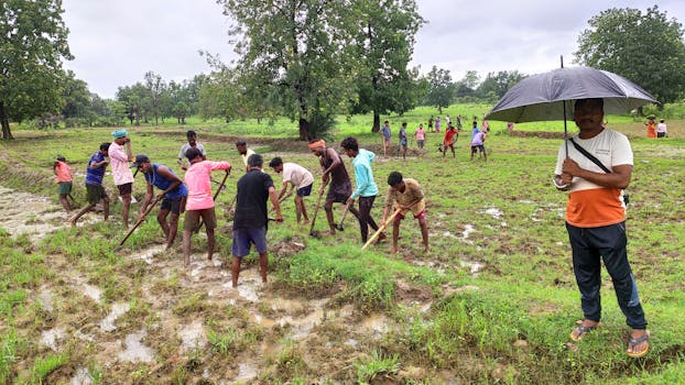 Odisha Floods 2024: Thousands Evacuated in Balasore, Mayurbhanj