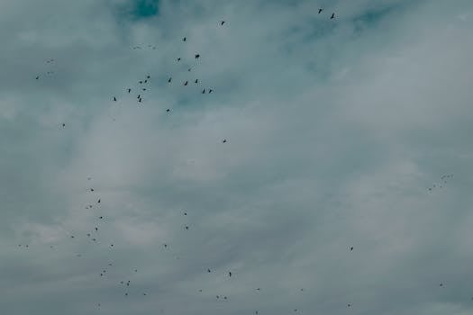 Sandstorm & Horizon Merger: A Giant in Metals Streaming