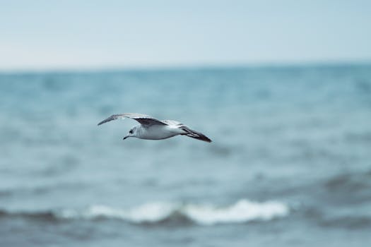 Sweden Scraps Air Travel Tax: Impact on Aviation & Environment