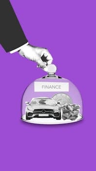 Top Large-Cap Funds for Portfolio Stability in 2024