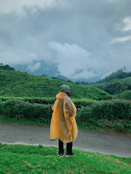 Top Large Cap Mutual Funds July 2025 | Smart Investing Guide