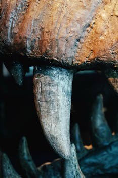 Ancient