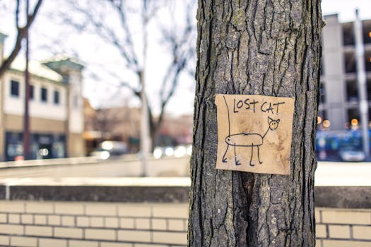 BARK