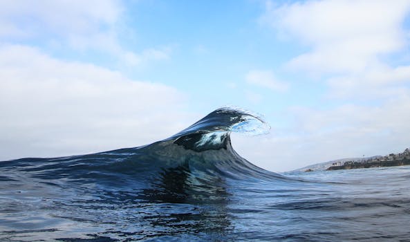 Laguna