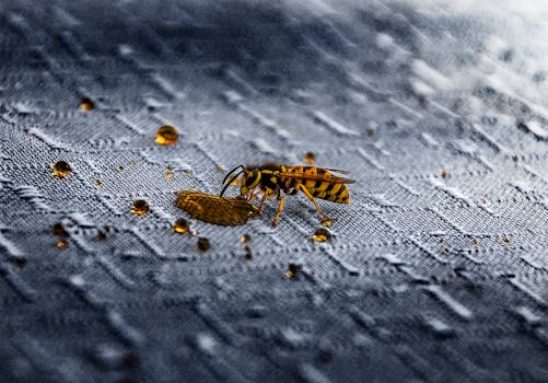 NATURE-INSURE:
