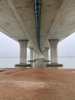 10 Undervalued Stocks: Low PE Ratio Gems for 2024