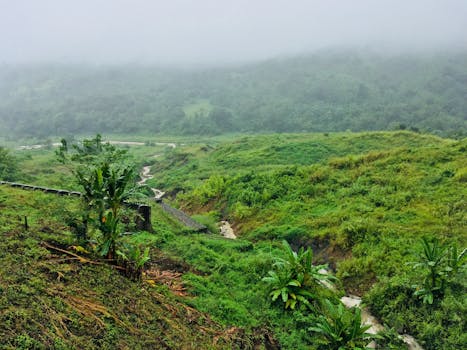 Assam's Progress: Healthcare, Welfare & Wildlife Conservation