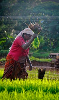 Bharat Bandh July 9th: Nationwide Strike Against Labor Reforms
