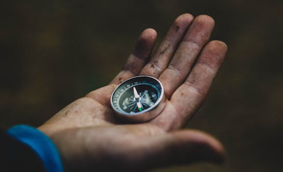 Conquer Financial FOMO: Tenali Raman's Wisdom for Wealth
