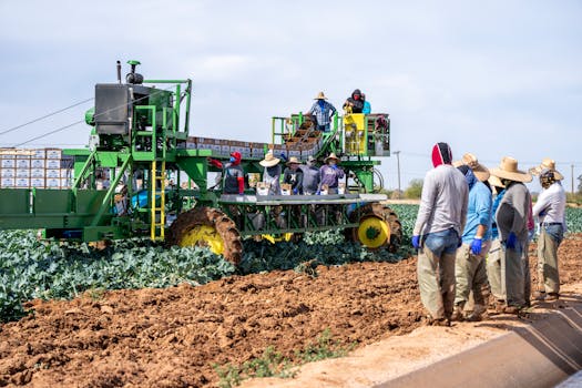 Karnataka Land Row: Siddaramaiah's Talks with Farmers Hold Key to Tech Park Future