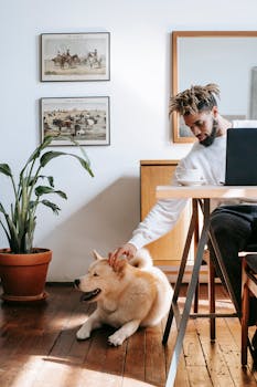 Pet Insurance Gap: Is Your Home Insurance Covering Pet Damages?
