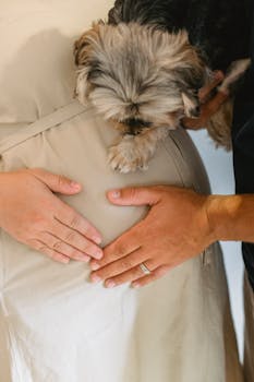 Pet Tech Boom: Smart Collars, AI Vets & More!