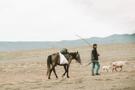 Portugal's New Digital Nomad Visa: Guide & Requirements