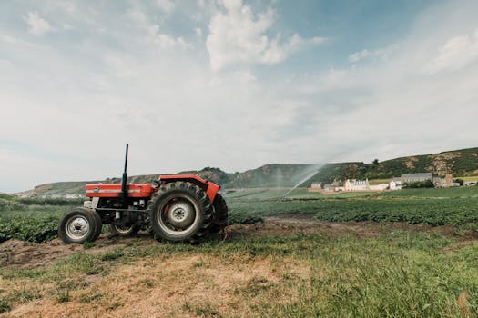 Sustainable Farming: Water-Soluble Fertilizers Need Government Support