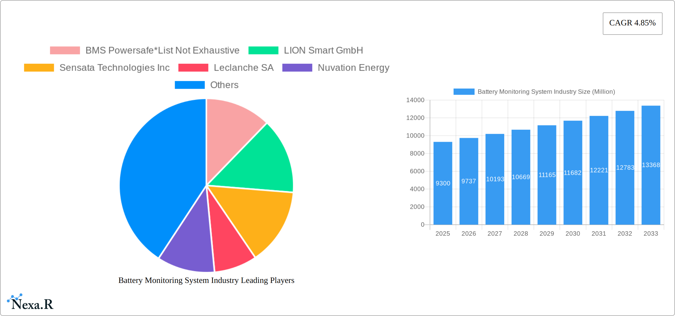 Battery Monitoring System Industry Research Report - Market Size, Growth & Forecast