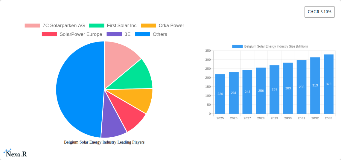 Belgium Solar Energy Industry Research Report - Market Size, Growth & Forecast