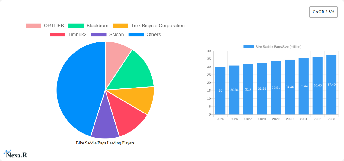 Bike Saddle Bags Research Report - Market Size, Growth & Forecast