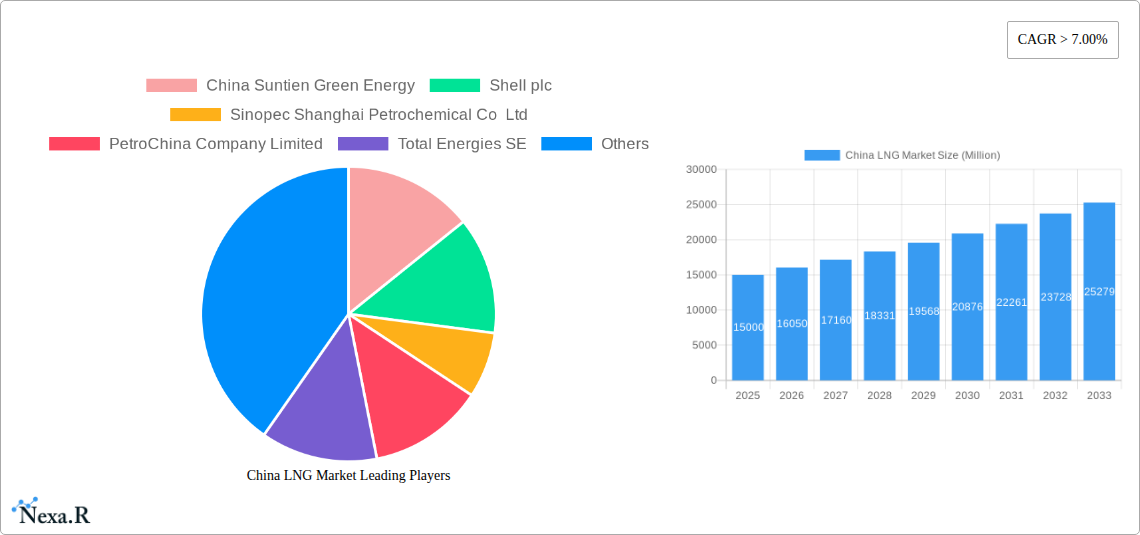 China LNG Market Research Report - Market Size, Growth & Forecast