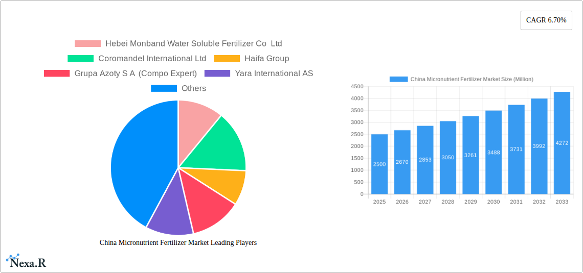 China Micronutrient Fertilizer Market Research Report - Market Size, Growth & Forecast