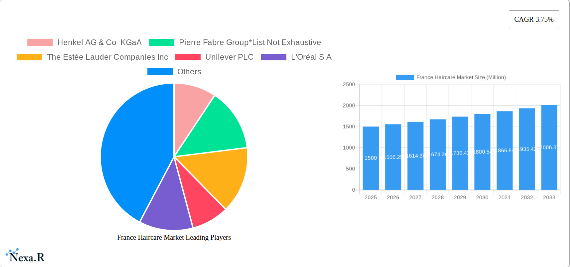 France Haircare Market Research Report - Market Size, Growth & Forecast
