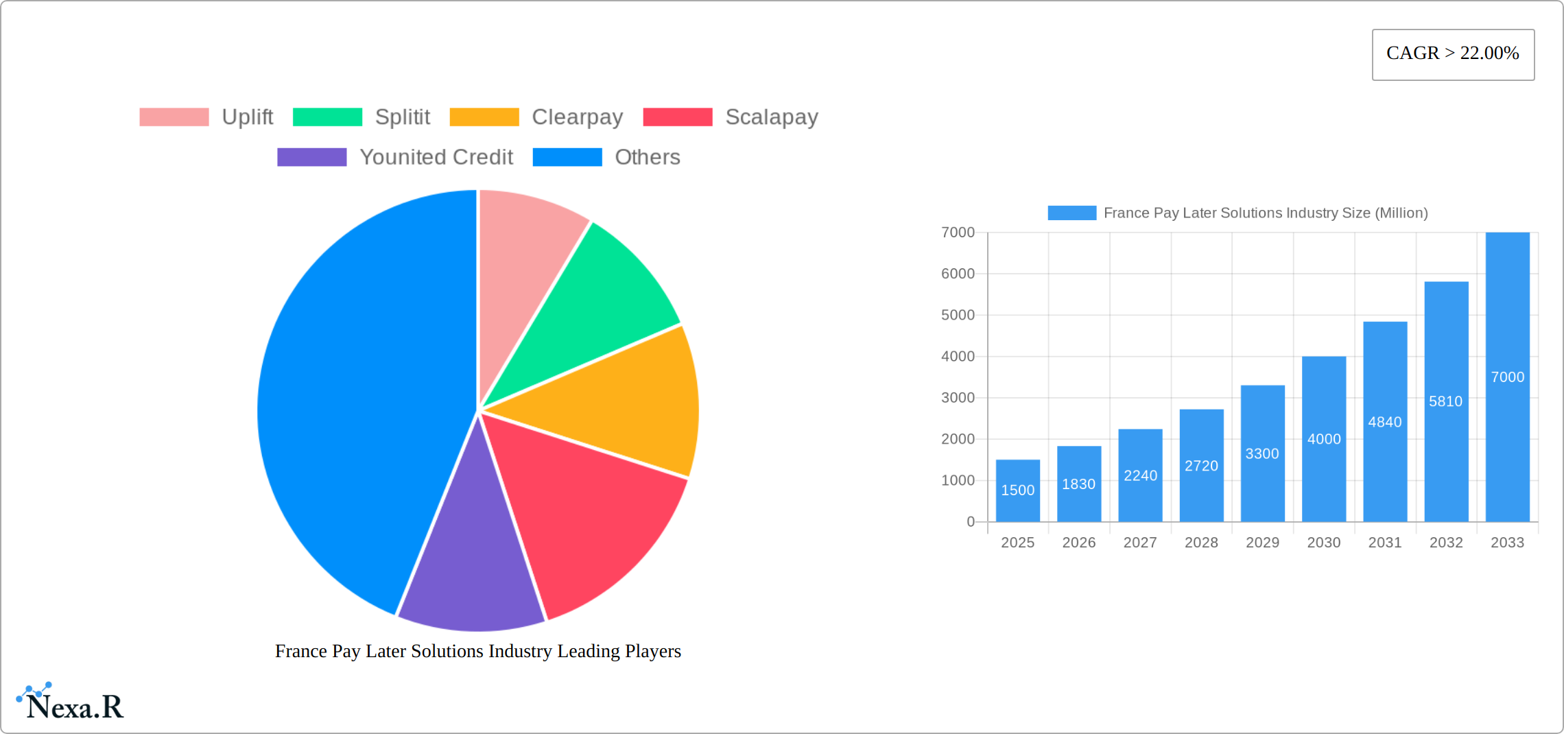 France Pay Later Solutions Industry Research Report - Market Size, Growth & Forecast