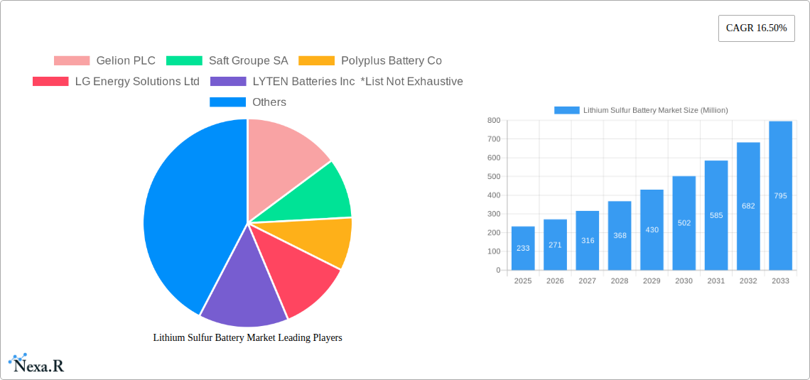 Lithium Sulfur Battery Market Research Report - Market Size, Growth & Forecast