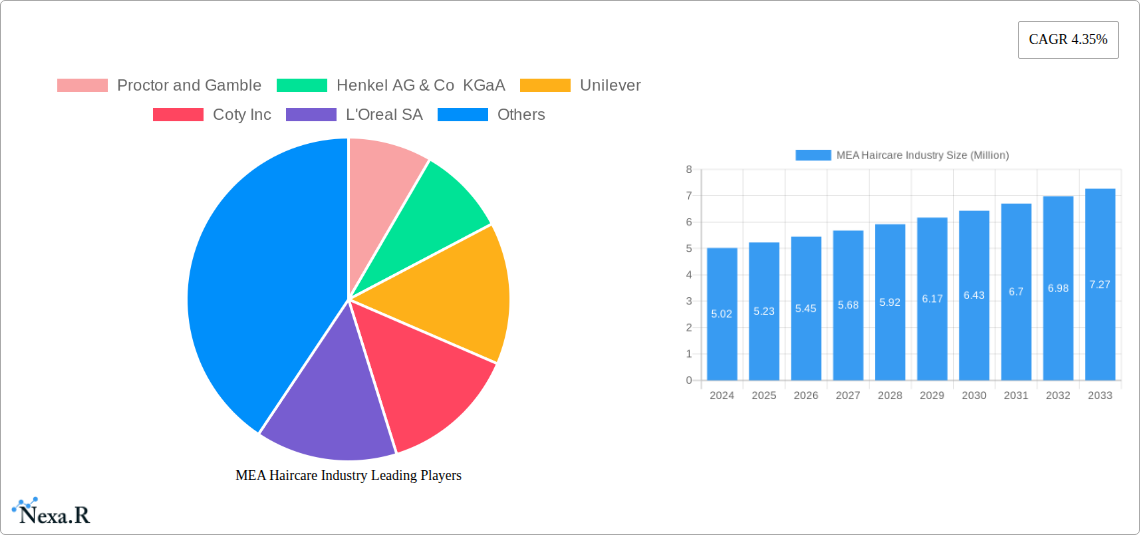 MEA Haircare Industry Research Report - Market Size, Growth & Forecast