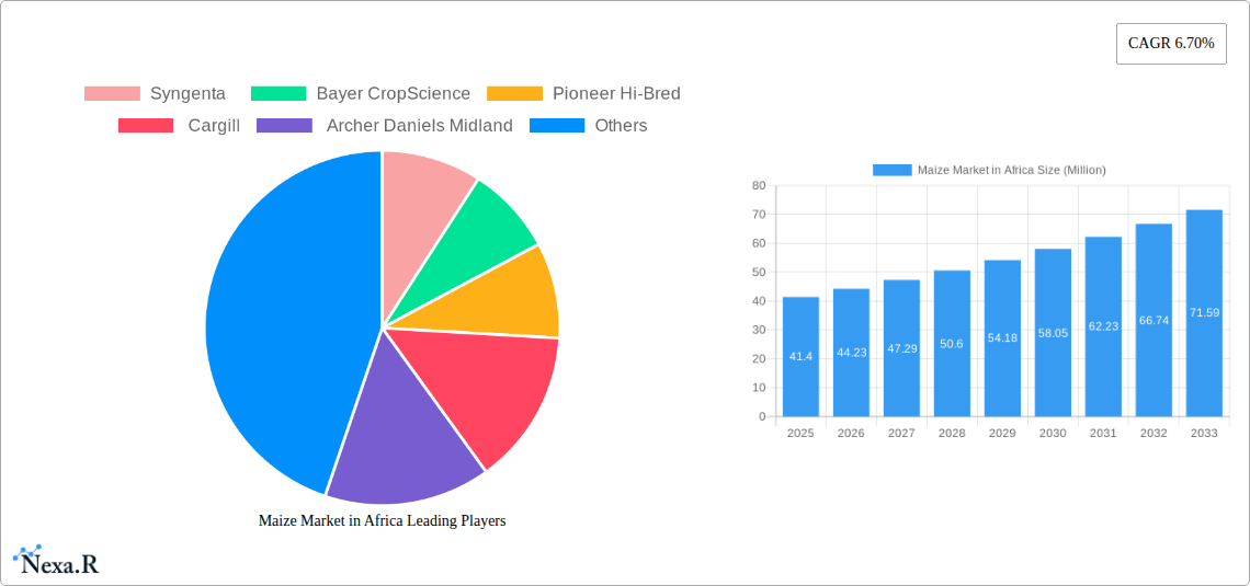 Maize Market in Africa Research Report - Market Size, Growth & Forecast