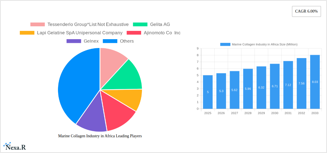 Marine Collagen Industry in Africa Research Report - Market Size, Growth & Forecast